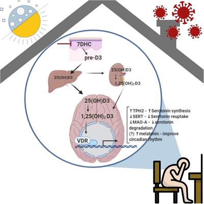 Vitamin D, Depressive Symptoms, and Covid-19 Pandemic